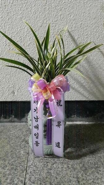 11��9��(������)