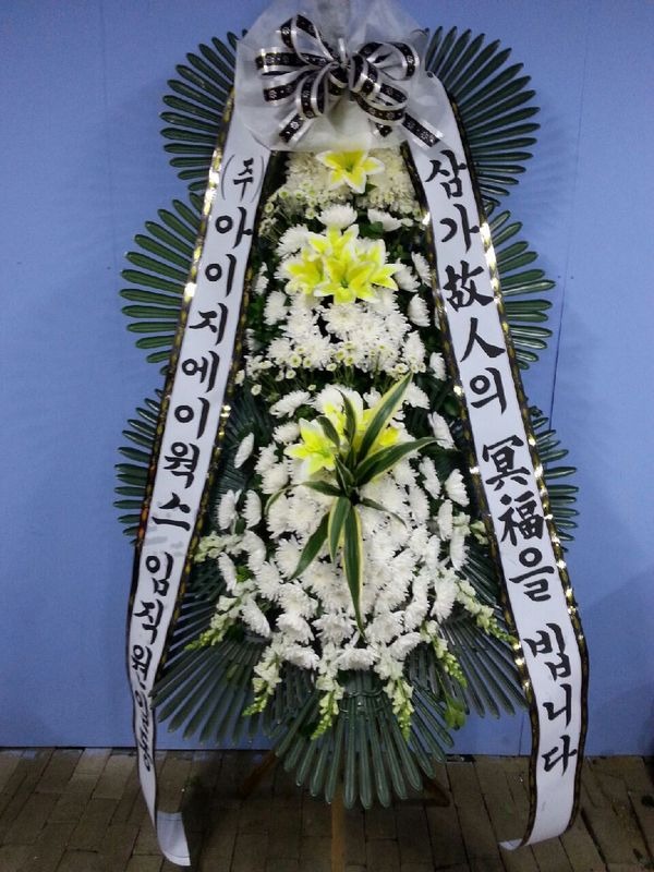 11��9��(������)