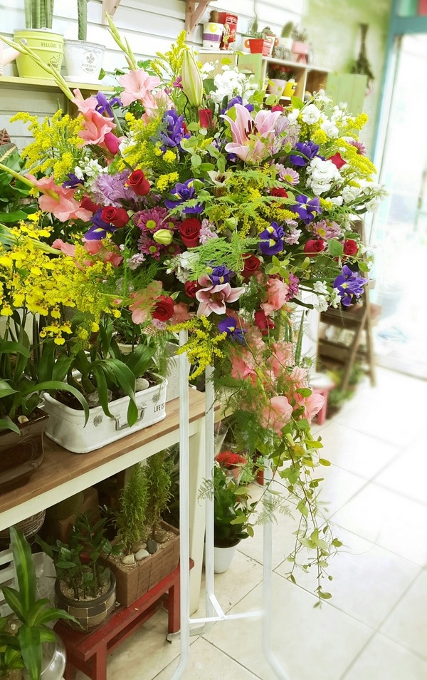 11��25��(������)