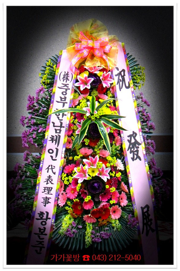 11��25��(������)