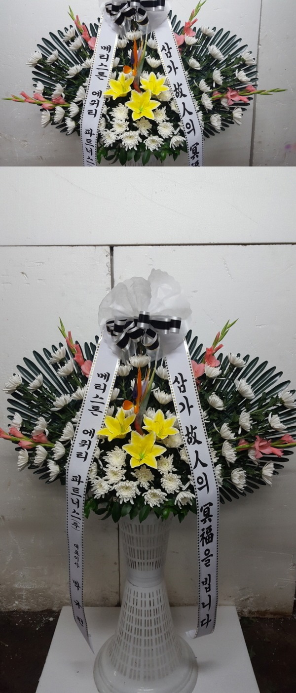 11��25��(������)