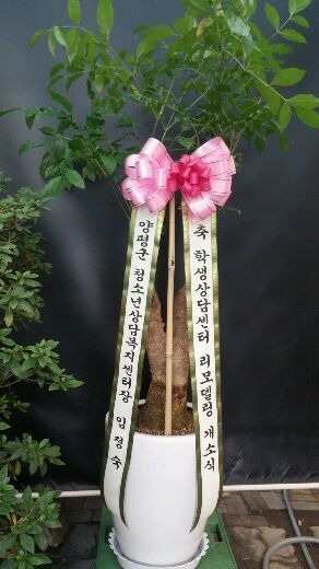 11��25��(������)