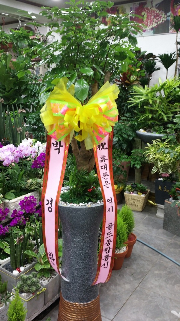 11��25��(������)