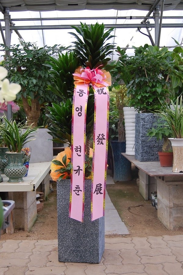 12��4��(�ݿ���)