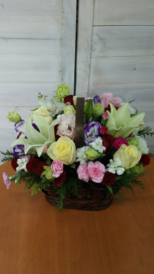 12��4��(�ݿ���)