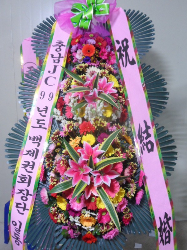 12��4��(�ݿ���)