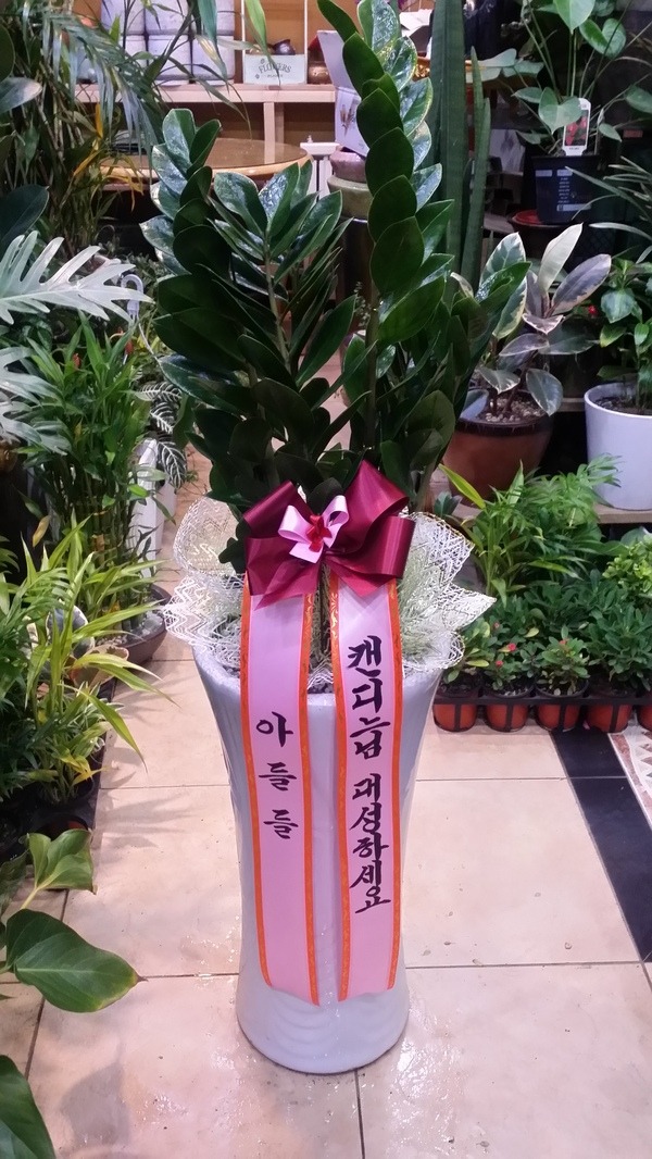 12��4��(�ݿ���)