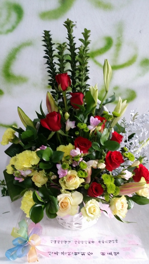 12��4��(�ݿ���)