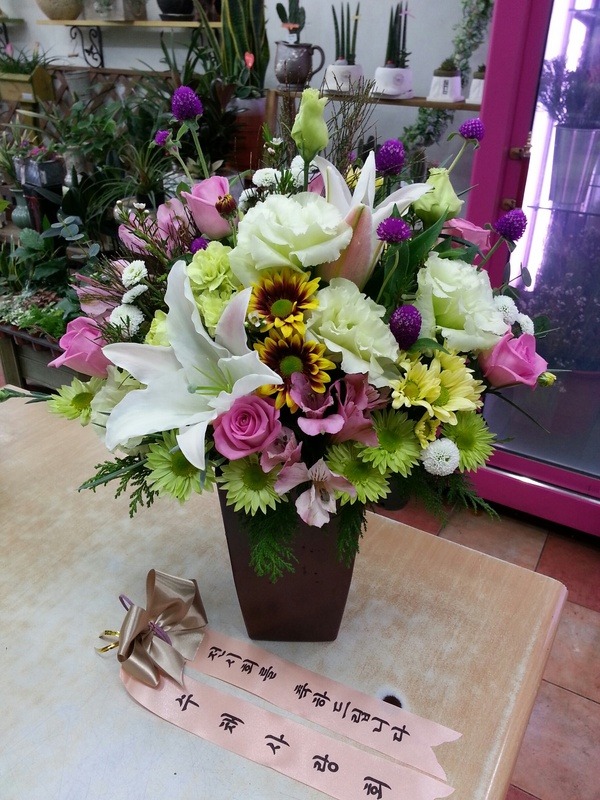 12��4��(�ݿ���)