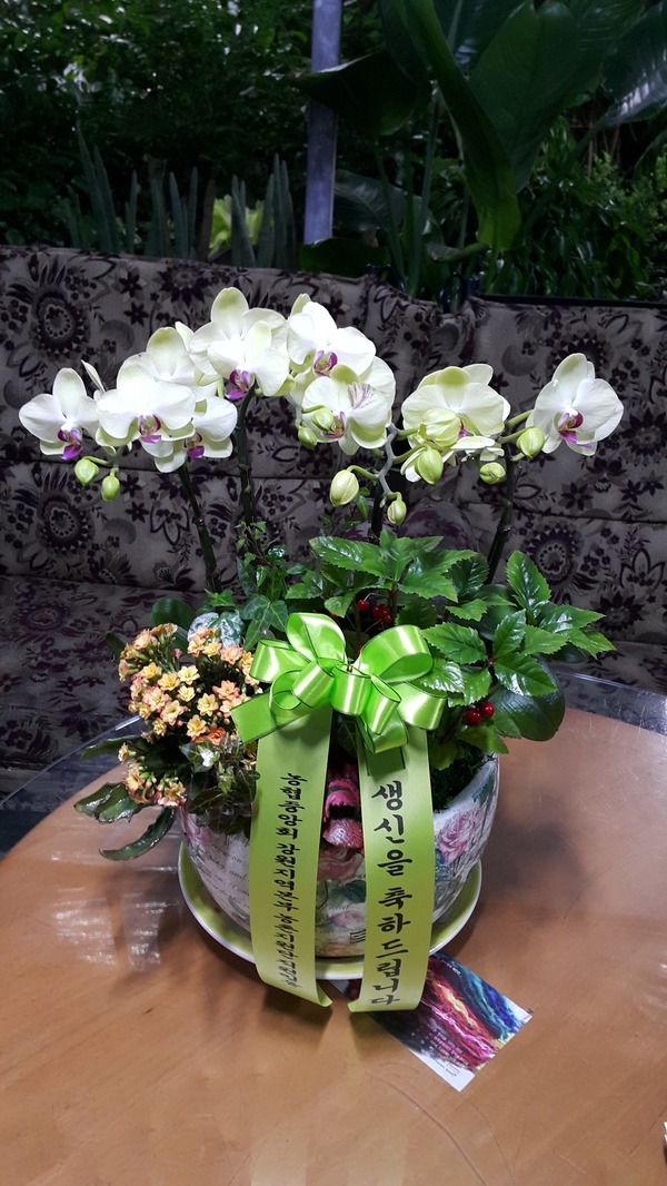 12��4��(�ݿ���)