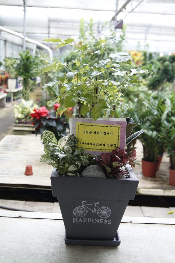 12��15��(ȭ����)