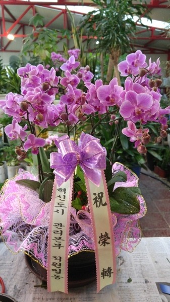 12��15��(ȭ����)