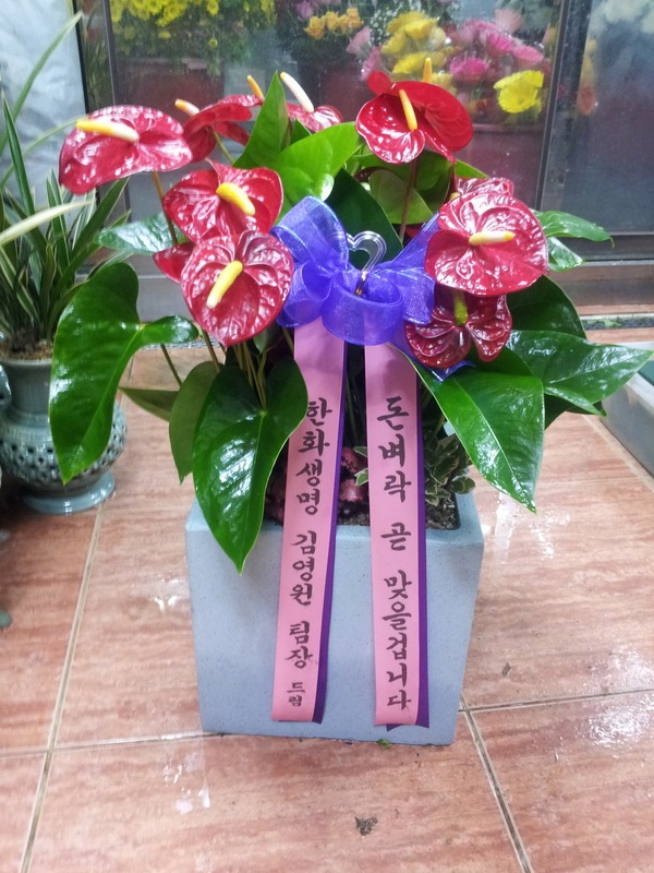 1��19��(ȭ����)