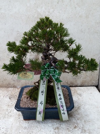 1��19��(ȭ����)