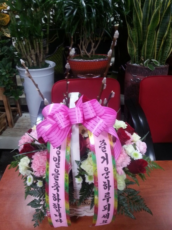 1��19��(ȭ����)