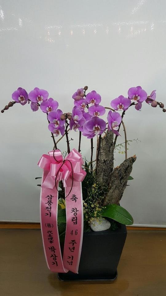 1��19��(ȭ����)