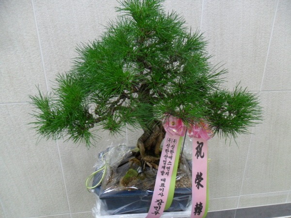 1��19��(ȭ����)