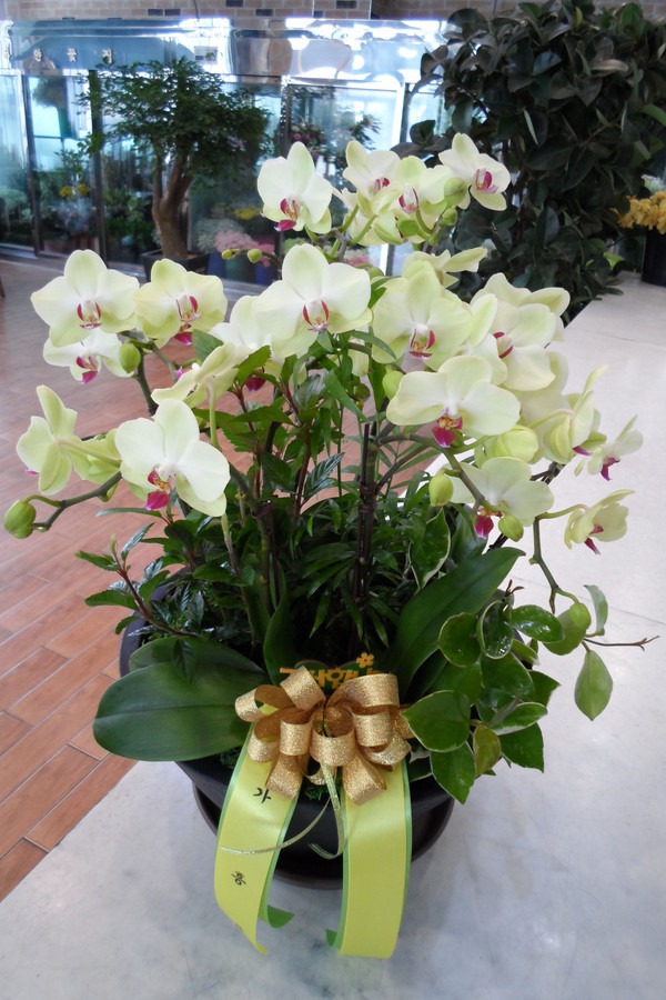 1��19��(ȭ����)