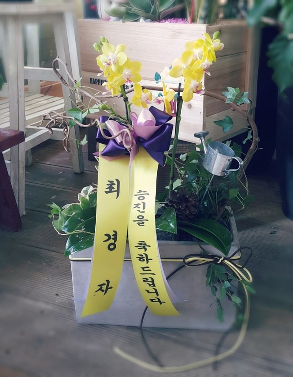 1��19��(ȭ����)