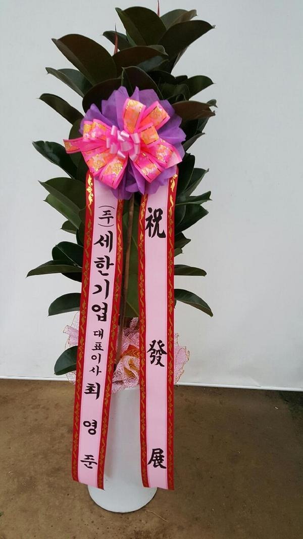 1��28��(�����)