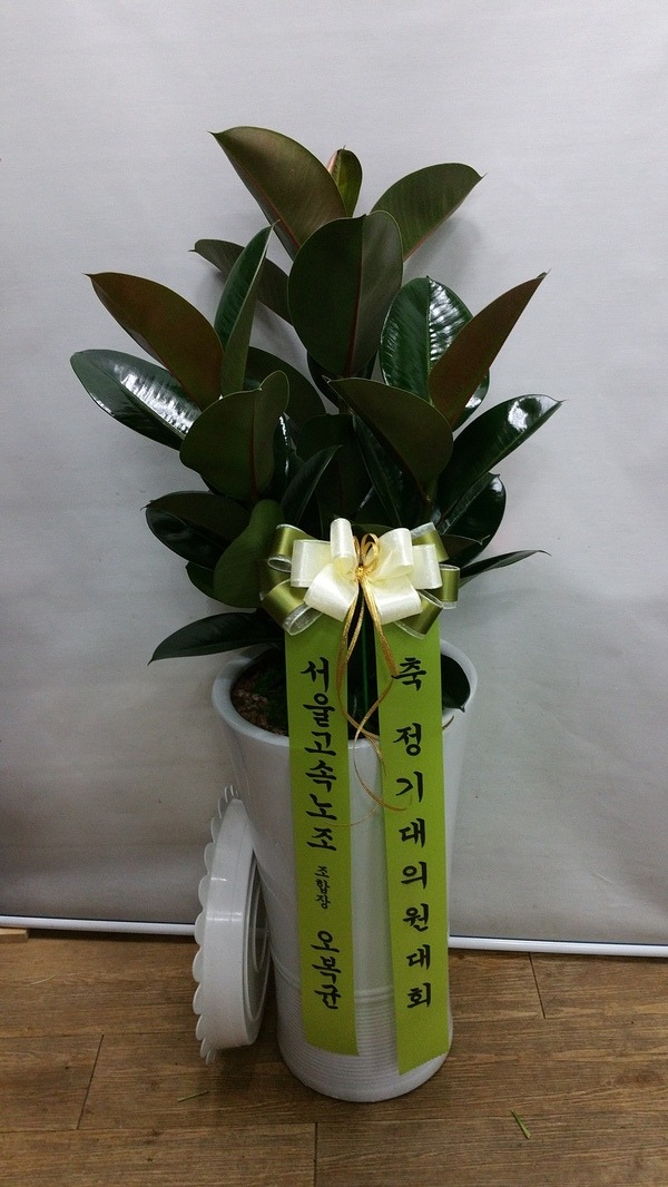 1��28��(�����)