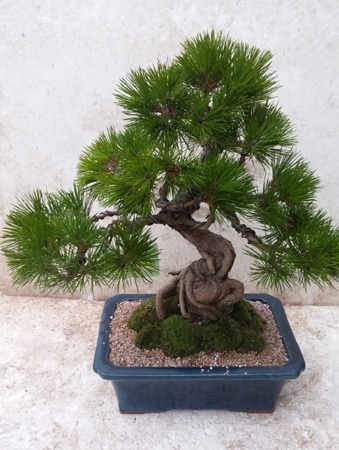 1��28��(�����)