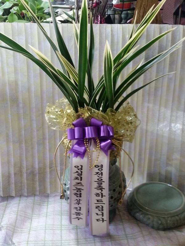 1��28��(�����)