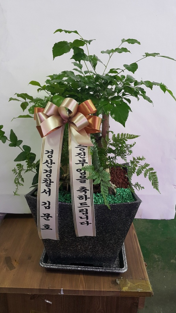 1��28��(�����)