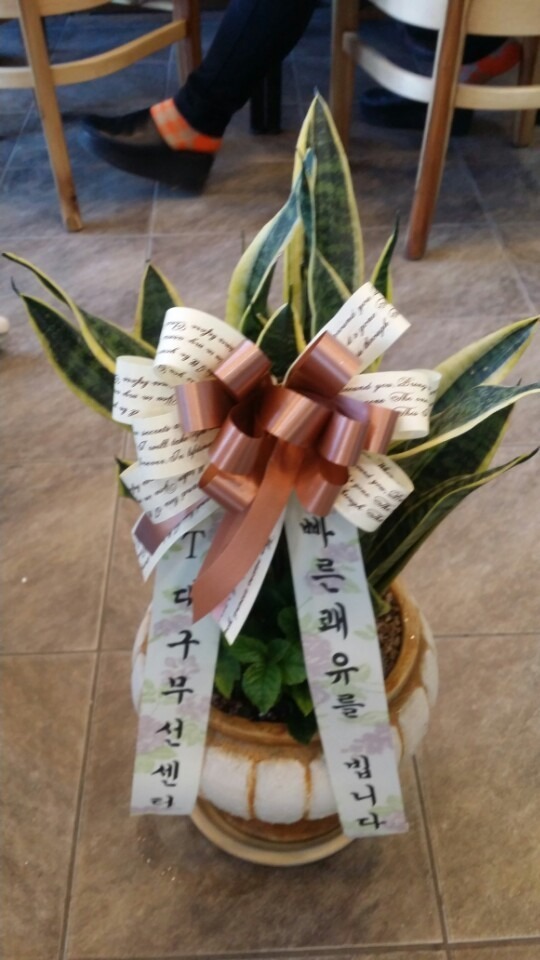 2��16��(ȭ����)