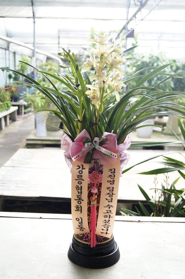 2��16��(ȭ����)