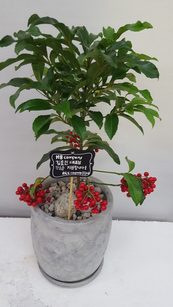 2��16��(ȭ����)