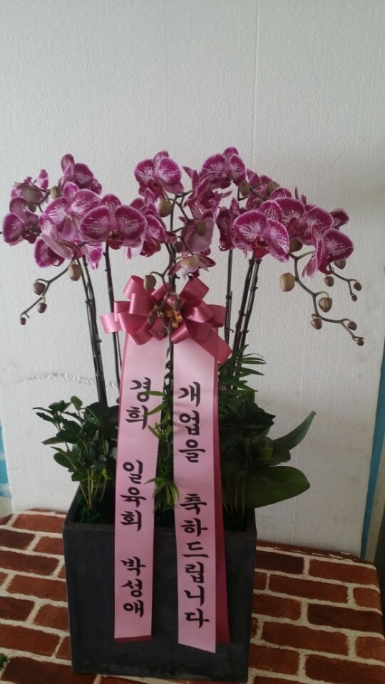 2��16��(ȭ����)