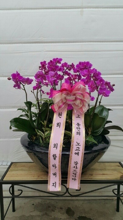 2��16��(ȭ����)