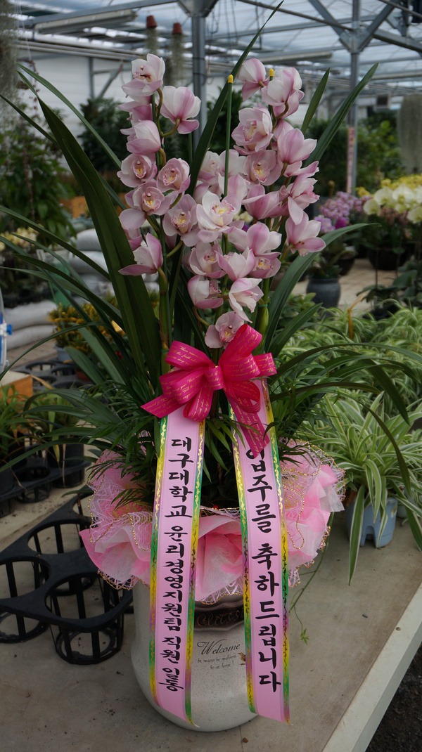 2��16��(ȭ����)