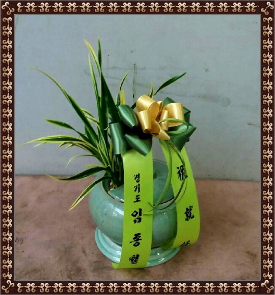 3��1��(������)