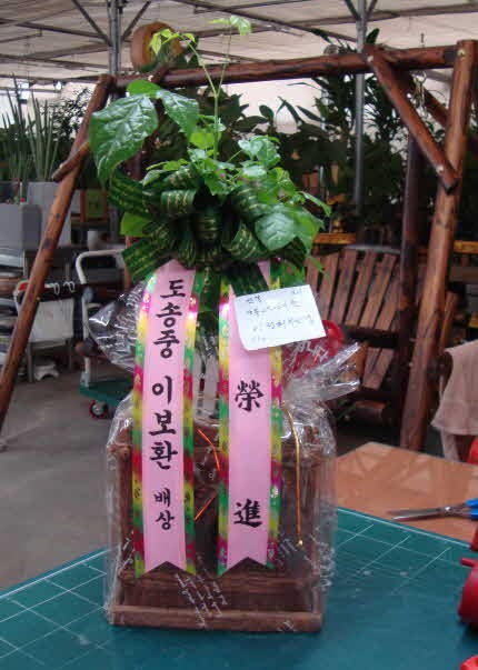 3��1��(������)