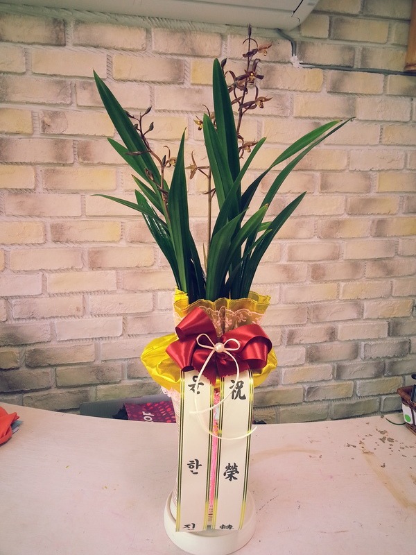 3��1��(������)