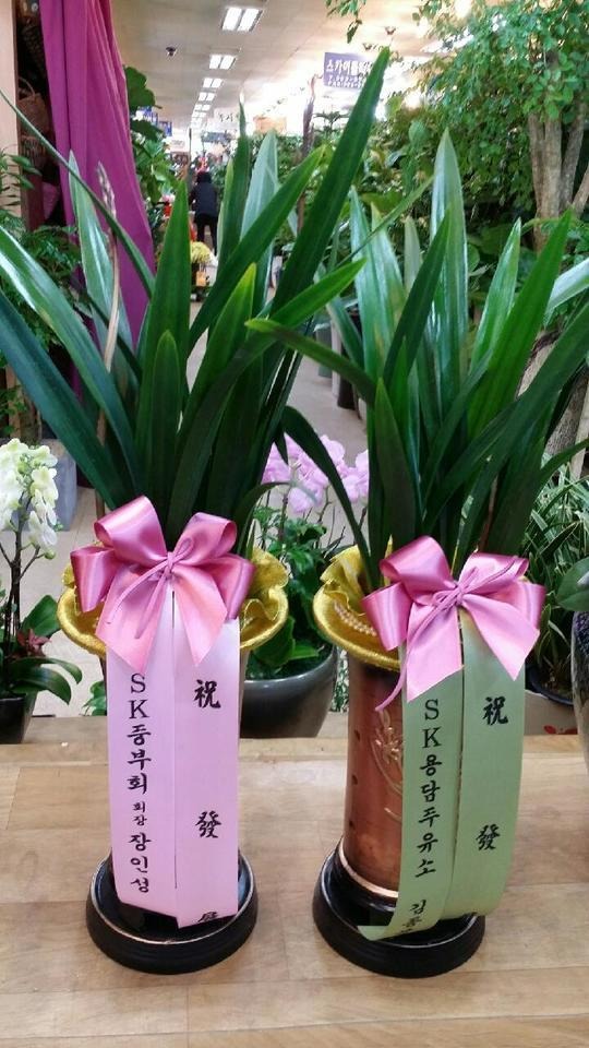 3��1��(������)