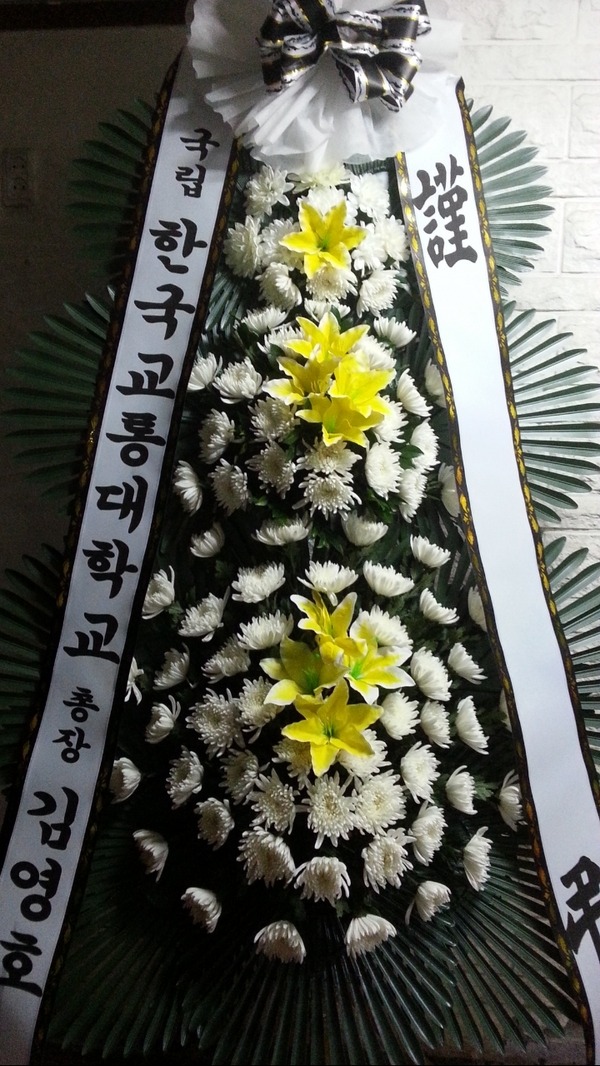 3��1��(������)