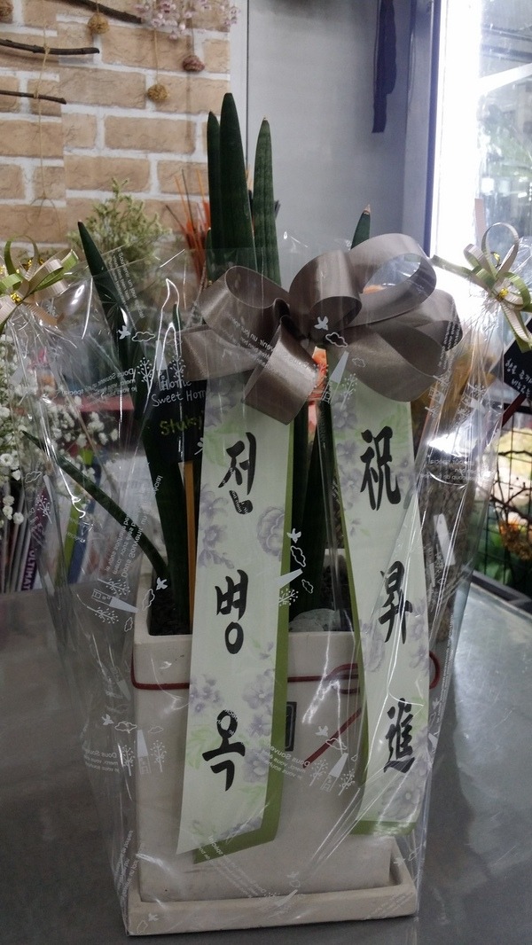 3��4��(�ݿ���)