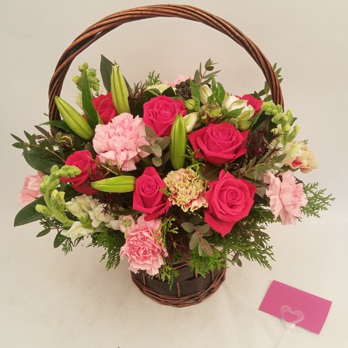 3��4��(�ݿ���)