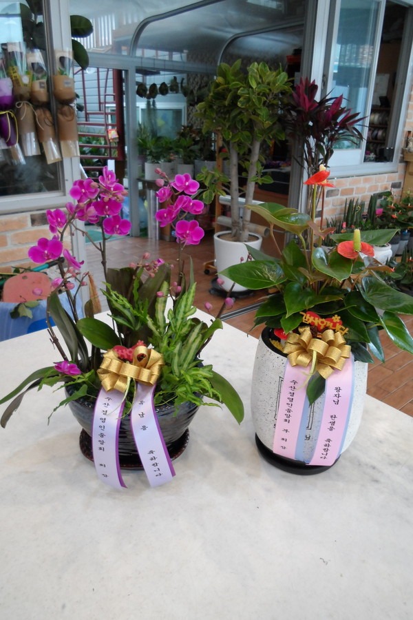 3��4��(�ݿ���)