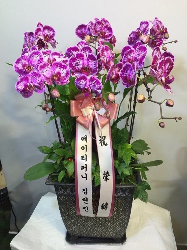 3��4��(�ݿ���)