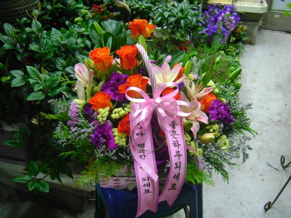 3��14��(ȭ��Ʈ����)