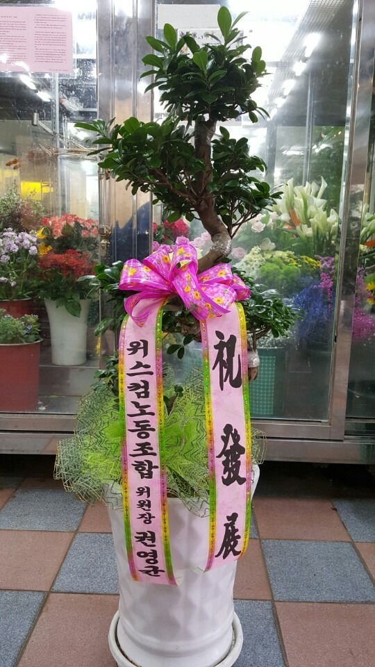 4��1��(�ݿ���)