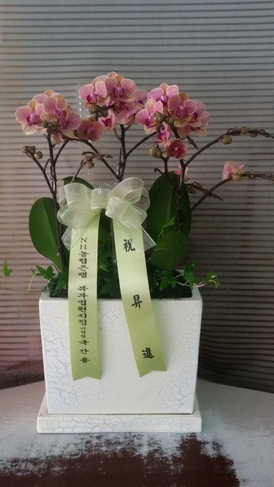 4��1��(�ݿ���)