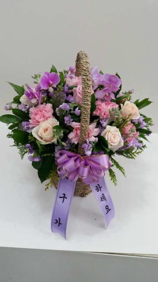 4��1��(�ݿ���)