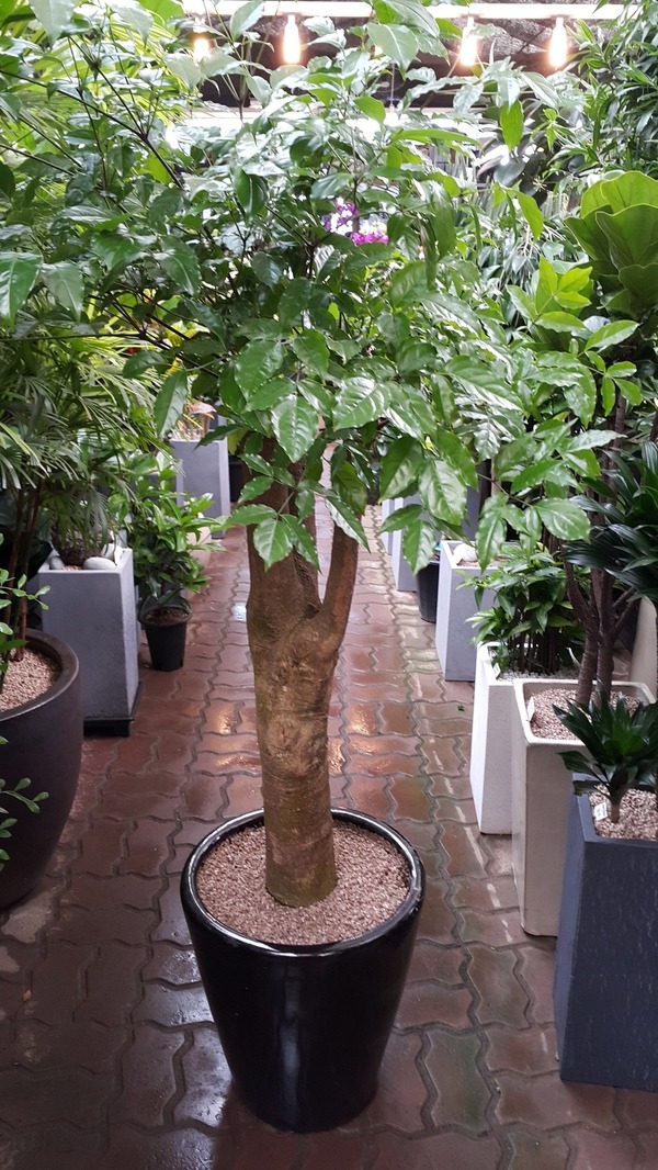 4��1��(�ݿ���)