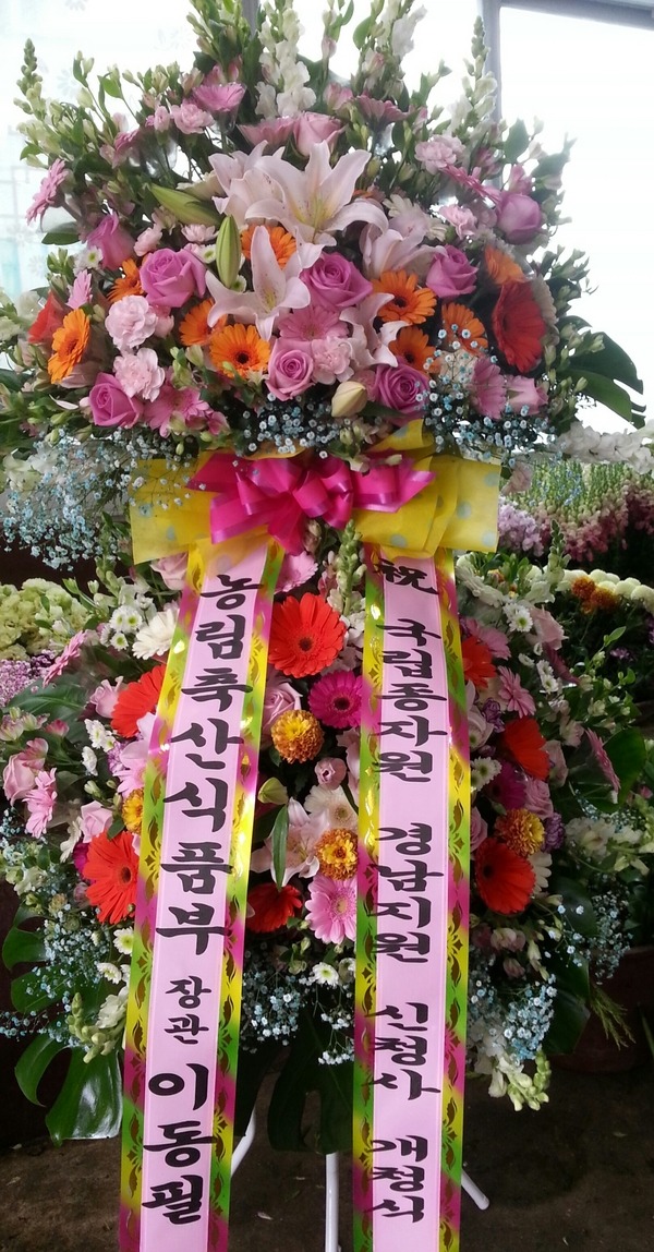 4��28��(�����)