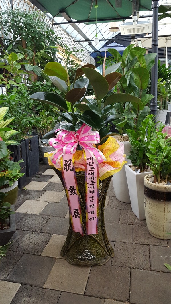 4��28��(�����)